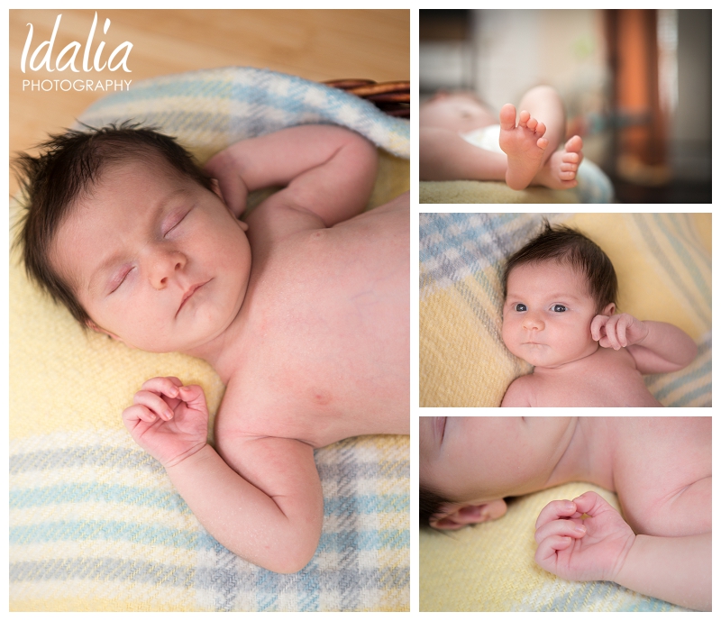 newborn-pictures