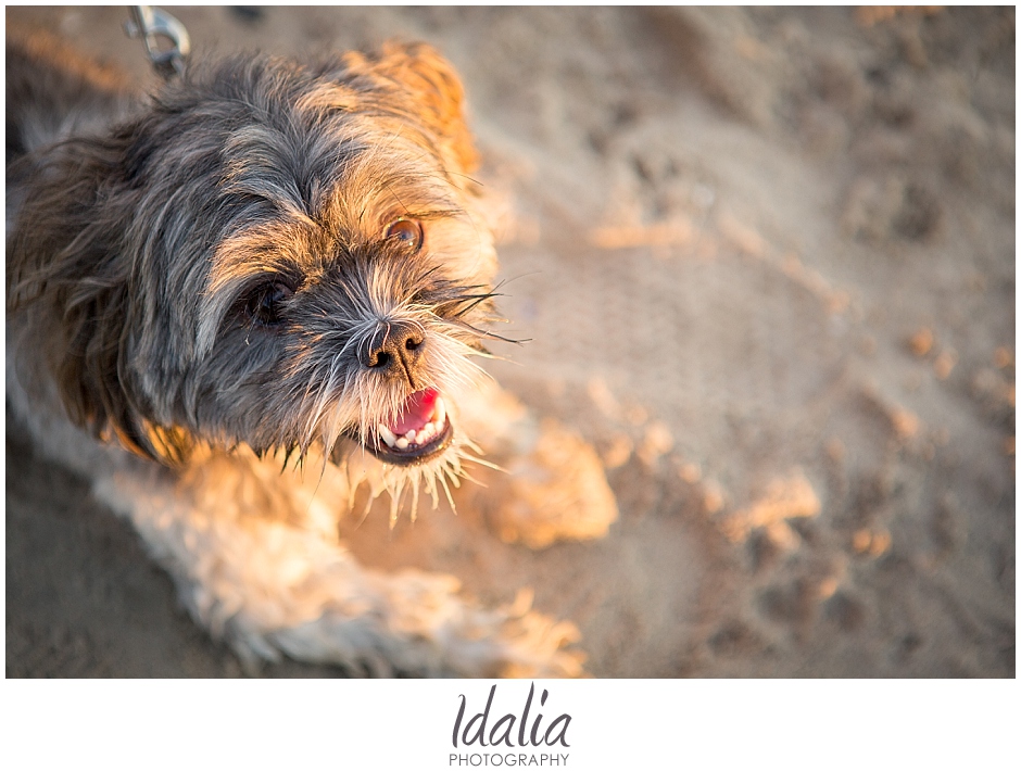 nj-beach-engagement-session_0026