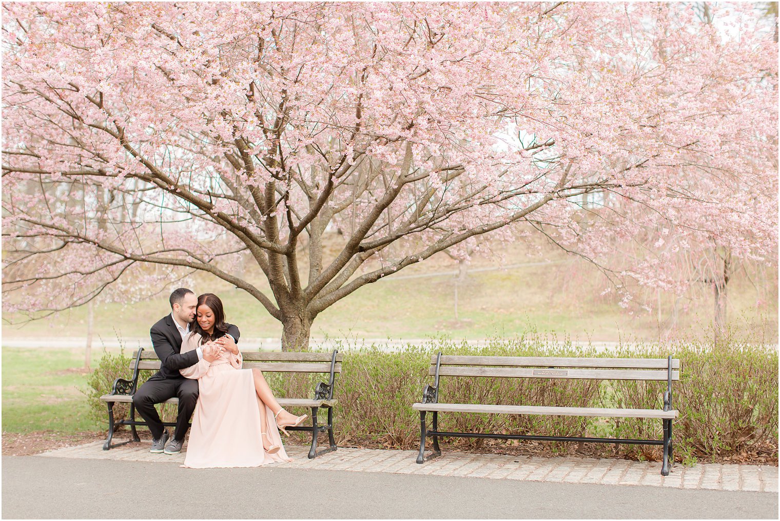 Where to See Cherry Blossoms in North Jersey - Montclair Girl