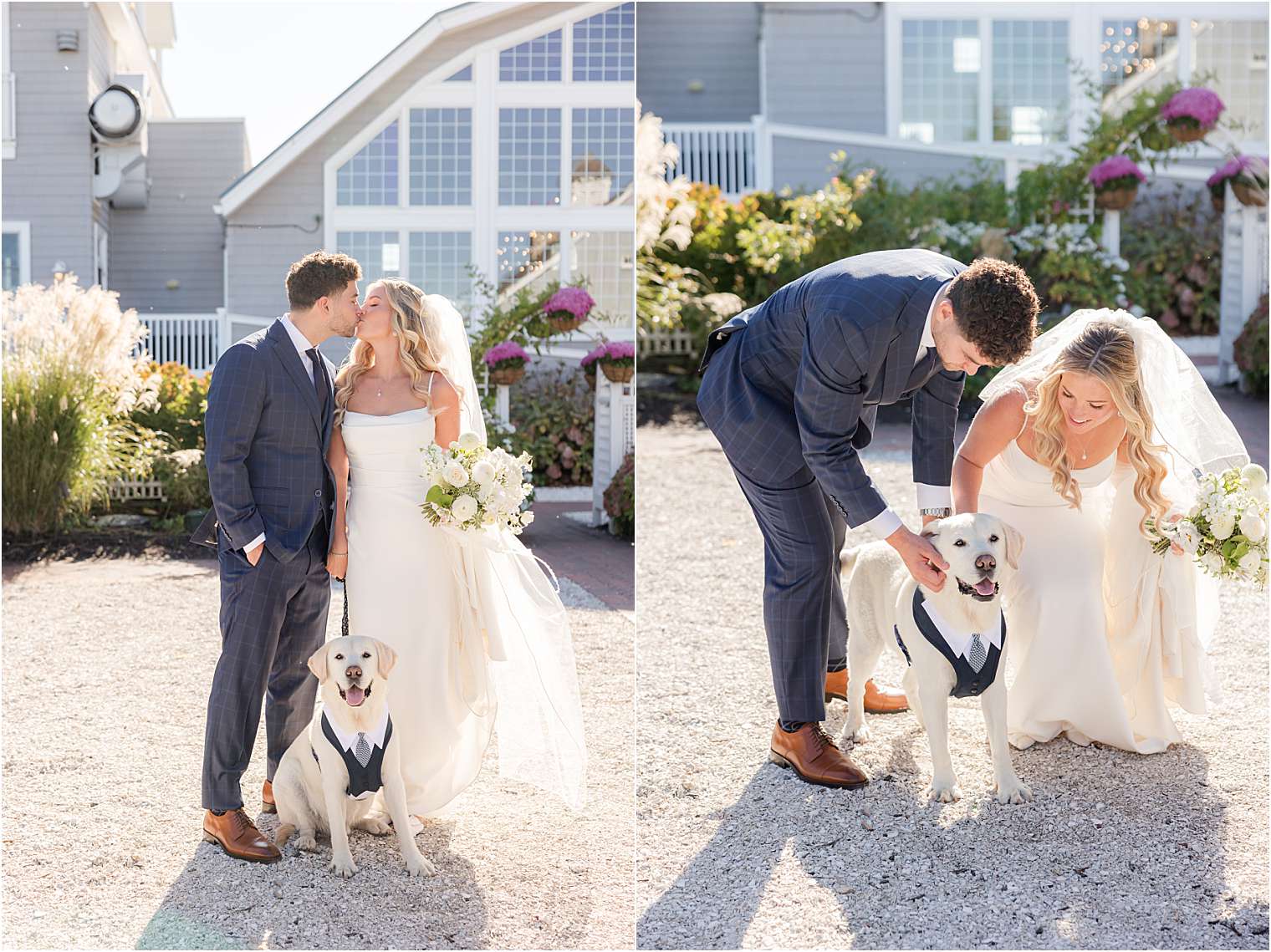 bride and groom with their dog