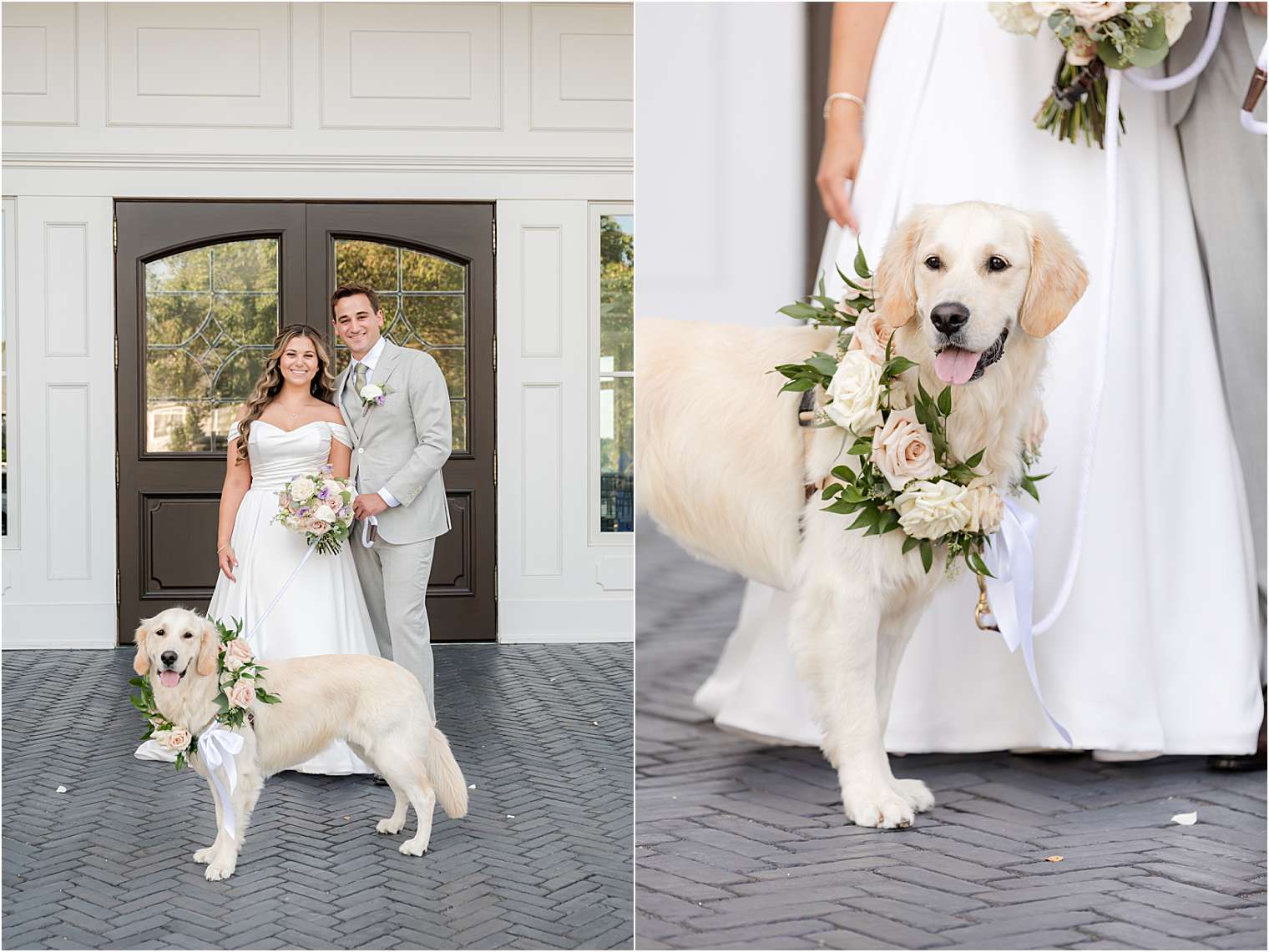 bride and groom with their dog